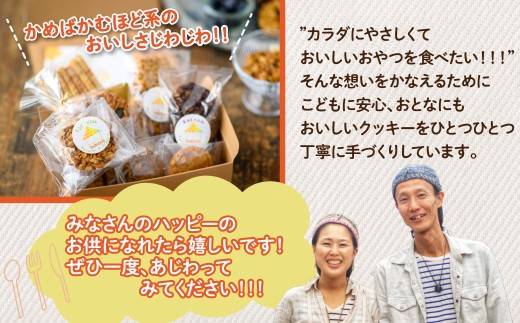 オーガニックでベジな手づくりクッキーとグラノーラの詰め合わせ5000円分 クッキー 焼き菓子 健康食品 W02102