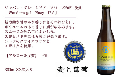 【 お中元 熨斗付 】 2年連続！《 ジャパン・グレートビア・アワーズ 受賞 》クラフトビール3種 計 6本セット 飲み比べ 茨城県産 牛久醸造場 330ml × 6本 ビール 地ビール クラフト お