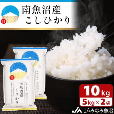 ふるさと納税 南魚沼市 【令和7年産】JAみなみ魚沼不動の人気「南魚沼産こしひかり」精米10kg(5kg×2袋)