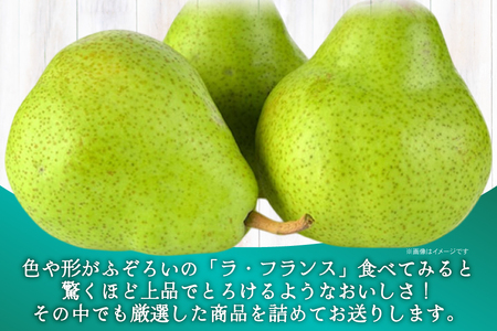 【期間限定発送】 ラ・フランス 高畠町産 ラ・フランス 7～9玉 約 3kg [JA山形おきたま 山形県 高畠町 tk06ays870042]