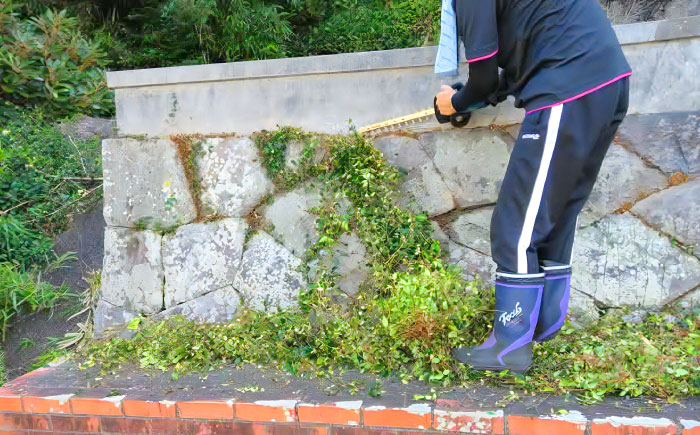 草刈り・墓地清掃・遺品整理等の代行チケット5,000円分《壱岐市》【便利屋とこしえ】 [JGX001]