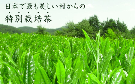 【全6回定期便】八女茶 奥八女星野村 深蒸し高級煎茶 (深蒸し茶) 100g×2袋 吉富町/株式会社ベネフィス[BGAF017]