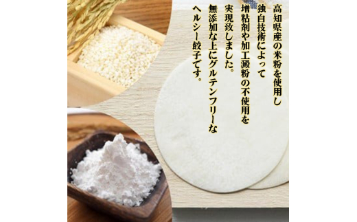 有機 葉 ニンニク と 四万十 豚 で作った 最高級 餃子 （ 6個入り x 8パック ）ぎょうざ ギョウザ にんにく 高知 野菜