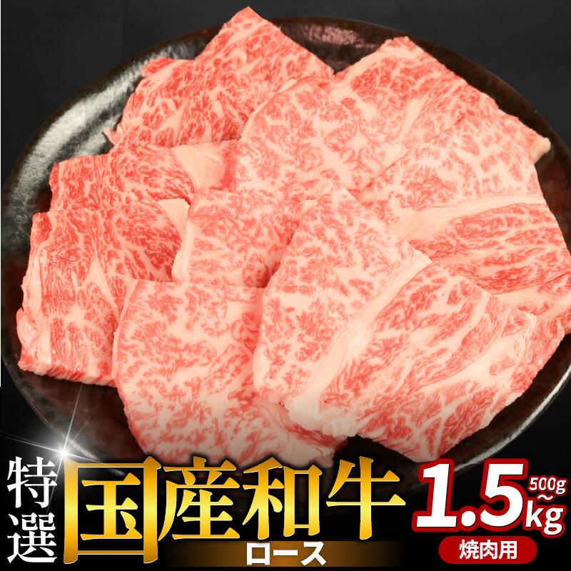【ふるさと納税】 牛肉 特選 ロース 焼肉用 500g 1kg 1.5kg えらべる容量 焼肉 国産和牛 和牛 焼き肉 赤身 にく ぎゅう うし バーベキュー BBQ やきにく お祝い イベント パーティー おかず おつまみ 贈答 プレゼント 徳島県 吉野川市