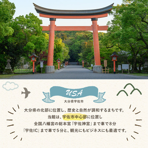 宇佐ホテルリバーサイド 1泊素泊まり宿泊券(シングルルーム・焼酎お土産付き) 【117400300】【宇佐ホテルリバーサイド】