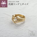 【ふるさと納税】 リング 指輪 ジュエリー レディース メンズ アクセサリー ダイヤモンド 0.48ct K18 イエローゴールド 馬蹄 Lサイズ ラッキーモチーフ 人気 シンプル ギフト プレゼント ジュエリーケース付 鑑別書付 保証書付 k276-024