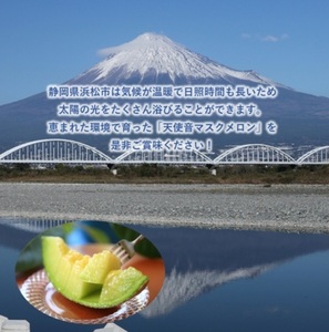 天使音（あまね）マスクメロン　グラン・べべ　1玉【配送不可：離島】