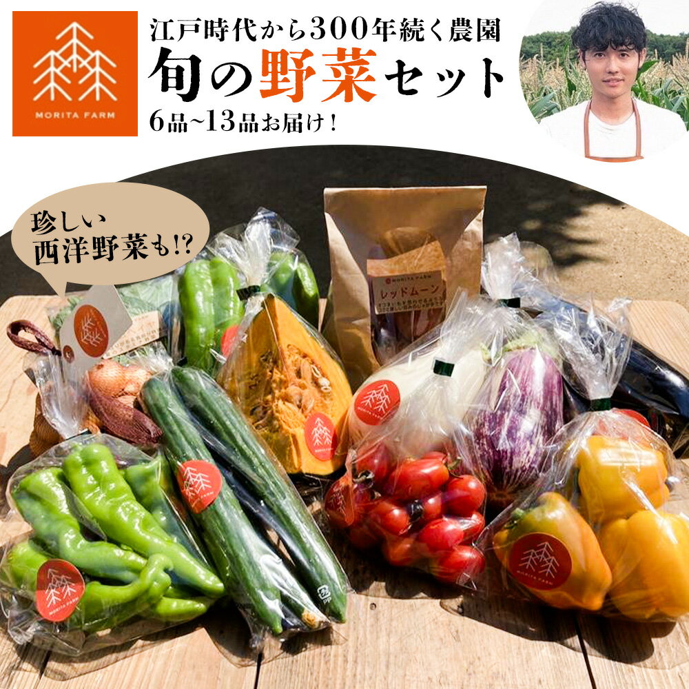 【ふるさと納税】野菜 農家直送 新鮮 野菜 セット 人気 旬 選べる 容量 6~13品 《30日以内に出荷予定(土日祝除く)》 森田農園 単発 定期便 あり 青果物 やさい 千葉県 流山市