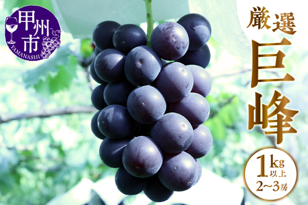 甲州市産 厳選 巨峰 1kg以上（2～3房）【2026年発送】（APX）B-871 巨峰 フルーツ