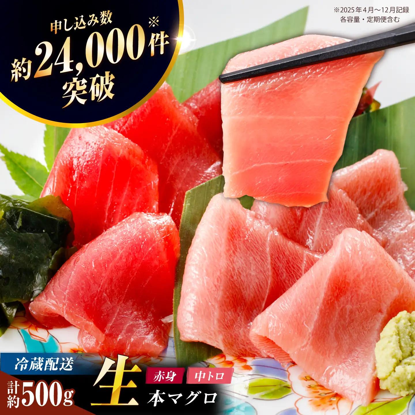 【冷蔵だから人気！】生本マグロ 赤身 中トロ 計約500g [RBP003] 
