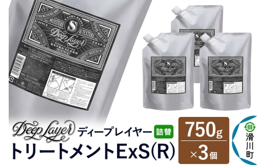 DeepLayer ディープレイヤー トリートメント ExS (R) 【詰替】 750g×3個 [まとまり パサつき なめらか 手触り スルスル髪 ふんわり 細毛 軟毛 ダメージ毛 ブリーチ毛 リンス コンディショナー]