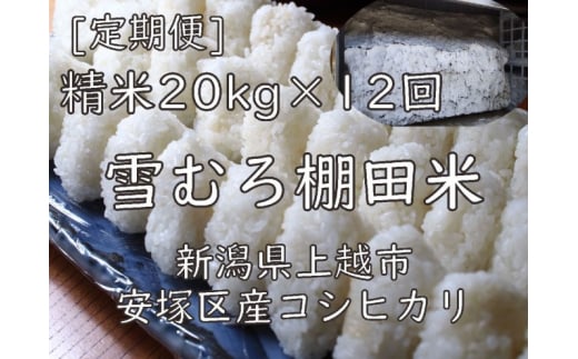 定期便 12ヶ月 雪むろ 棚田米 コシヒカリ 20kg 精白米 [定期便]毎月発送(計12回) こしひかり 米 お米 こめ おすすめ ユキノハコ 新潟 新潟県産 にいがた 上越 上越産