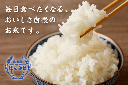 【令和5年産】ほんき村のこしひかり(10kg） お取り寄せ 特産 お米 精米 白米 ごはん ご飯 コメ 新米 新生活 応援 準備 １０キロ 10kg 10キロ 【49】