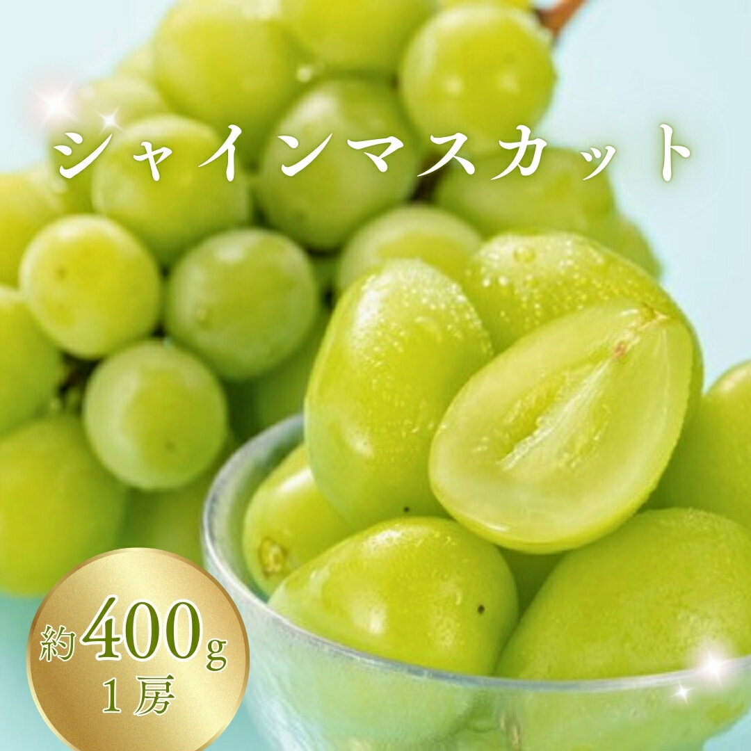 【ふるさと納税】【2026年先行予約】シャインマスカット 400g以上(1房) | 葡萄 グレープ 果物 フルーツ シャインマスカット 信州ぶどう 信州葡萄 産地直送 種無し 皮ごと食べれる 白ぶどう マスカット お取り寄せ 信州 長野 千曲市