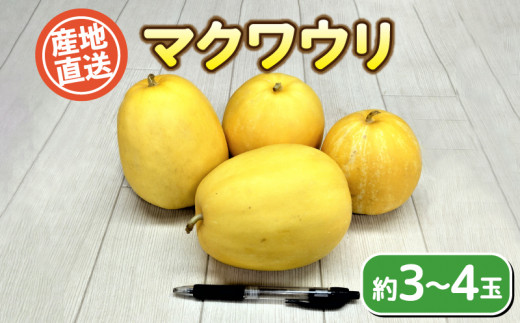 【 期間限定 】 マクワウリ 金太郎 3~4玉 果物 フルーツ まくわうり 真桑瓜 産地直送 下関 山口