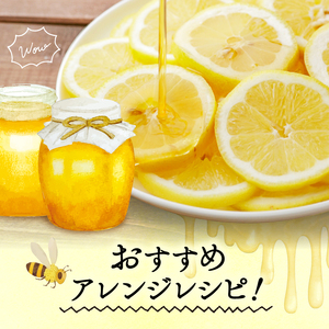 【 はちみつ 】 はちみつ2本