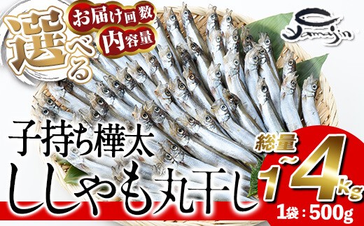 
                  ＜ 内容量 ・ お届け回数が選べる ＞ 子持ち樺太ししゃも丸干し (総量1kg～4kg) 干物 ししゃも シシャモ 丸干し 魚 海鮮 冷凍 大分県 佐伯市【AP82・AP83・AP86】【ヤマジン】
                