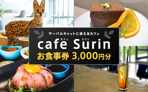 お食事券 3,000円分 cafe Surin ( カフェ スリン ) 南城市   I  食事券 3000円 カフェ ランチ券 レストラン チケット デート ギフト   沖縄県 南城市 ふるさと納税 