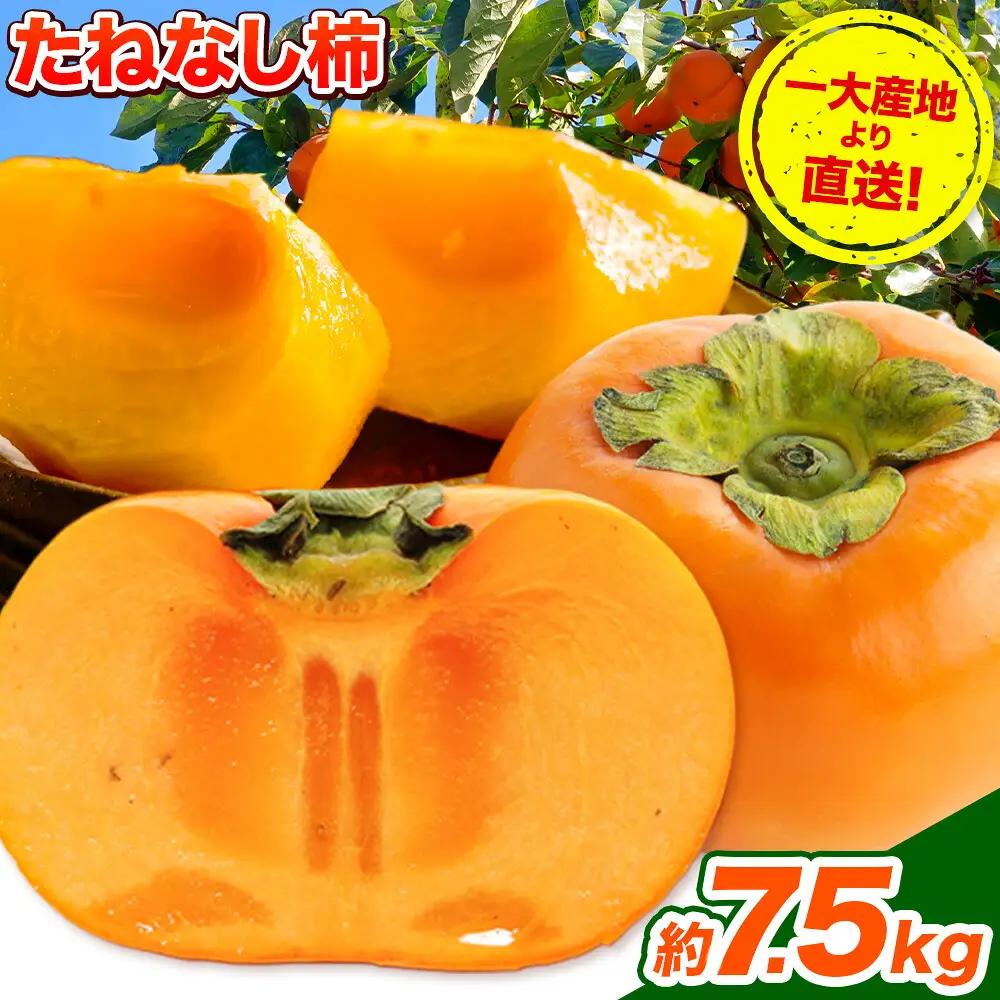 柿 たねなし柿 約7.5kg