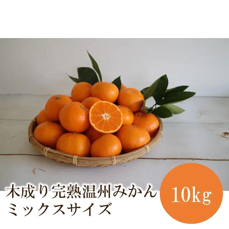 木成り完熟温州みかんミックスサイズ10kg【1363】