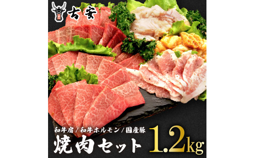 
焼肉 セット1.2kg 各 300g 和牛 肩肉 ホルモン トントロ 牛 豚 味噌 塩 バーベキュー 古安
