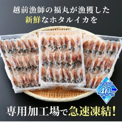 ふるさと納税 越前町 【毎月定期便】ホタルイカ(刺身・しゃぶしゃぶ用)　21尾入 × 5パック 合計約700g全6回 |  | 02