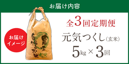 【定期便3回】【令和7年産 新米】福岡県産ブランド米元気つくし 玄米 5kg×3回 _Tk076