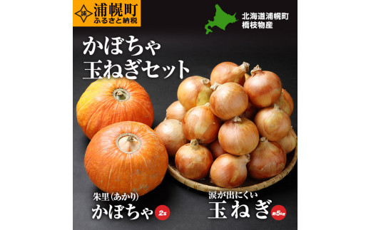
                  かぼちゃ(2玉)とたまねぎ(約5kg)のセット 橋枝物産 【2026年9月中旬以降の発送】
                