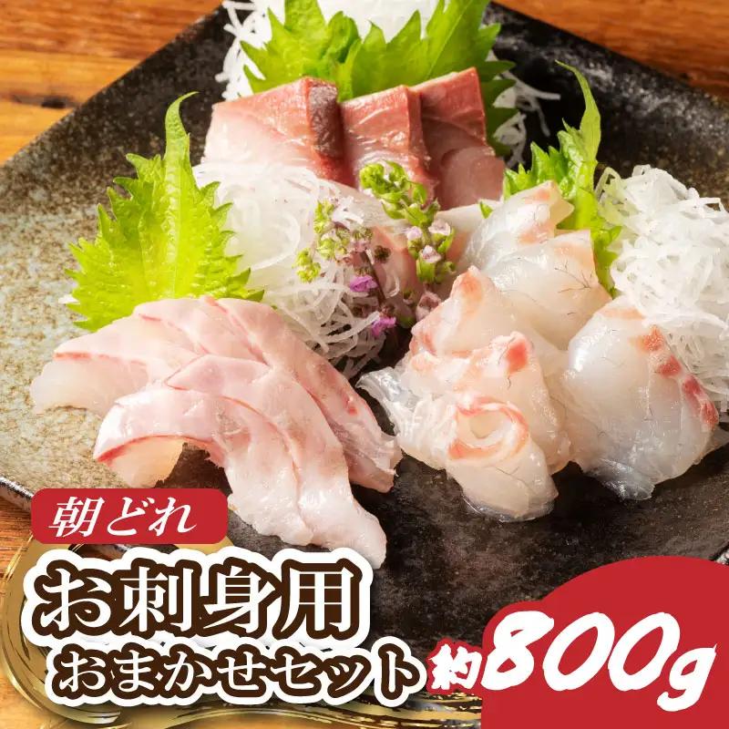 （冷蔵）伊勢志摩産　朝どれ　３種　お刺身セット／城水産　鯛　鰤　たい　ブリ　新鮮　真空