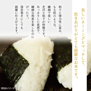 《令和５年度産》武田家のお米 あきたこまち（精米）10kg＜合鴨農法＞【米農家 仁左ェ門】 / 米 白米 ５キロ ２袋 アイガモ