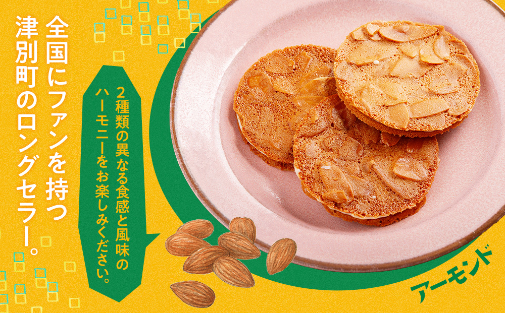 銘菓・ケーキの店「しのはら」お菓子セットB | チョコレート お菓子 焼き菓子 洋菓子 津別峠 パンプキン アーモンド 地元 菓子 ギフト 贈り物 プレゼント 北海道 津別町 送料無料