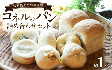 自家製天然酵母パンの詰め合わせセット 計約1kg / パン 食べ比べ 天然酵母 / 佐賀県 / パンと器のコネル[41AJAB006]
