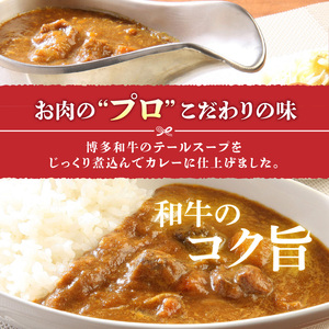 【定期便】毎月届く！博多和牛 カレールー（3回コース） 〔Tk018〕