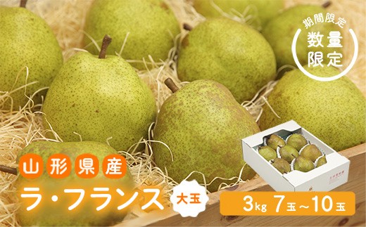 《先行予約 2026年度発送》【王将果樹園】ラ・フランス大玉3kg～生産量日本一のまちより～  なし ナシ 梨 デザート フルーツ 果物 くだもの 果実 食品 山形県 FSY-2684