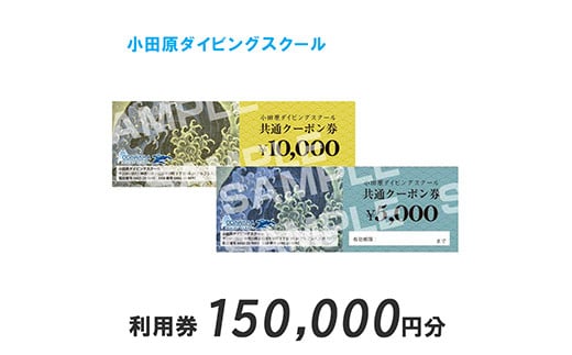 
小田原ダイビングスクール共通クーポン券 150,000円分【150,000円分クーポン券 小田原でダイビング ダイビングスクール 1万円クーポン券15枚 ライセンス講習 ダイビングライフ 神奈川県 小田原市 】
