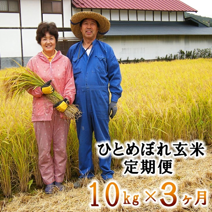 【3ヶ月定期便】減農薬栽培 ひとめぼれ 玄米 10kg（5kgx2袋） 【1111】