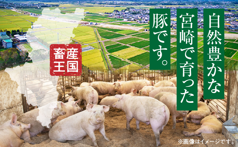 宮崎県産 豚肉 肩ロース スライス 2.4kg
