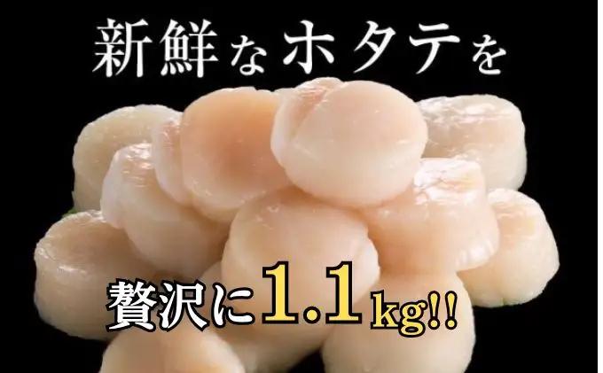 2ヵ月定期便 訳あり 冷凍 帆立 貝柱 1.1kg×2ヶ月 計約2.2kg ホタテ