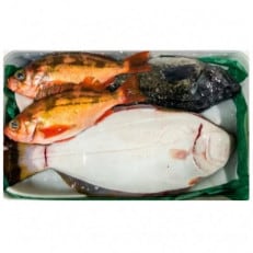 【3月発送開始】おさかなマイスター厳選　冬の魚介類BOX　(S)