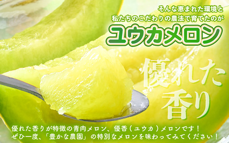 【先行予約】 安心安全！減農薬！こだわり農法で育てた ユウカメロン 2玉 (1玉あたり：1.5kg以上) 【2026年6月中旬以降順次発送予定】 【メロン めろん フルーツ デザート 果物 くだもの 