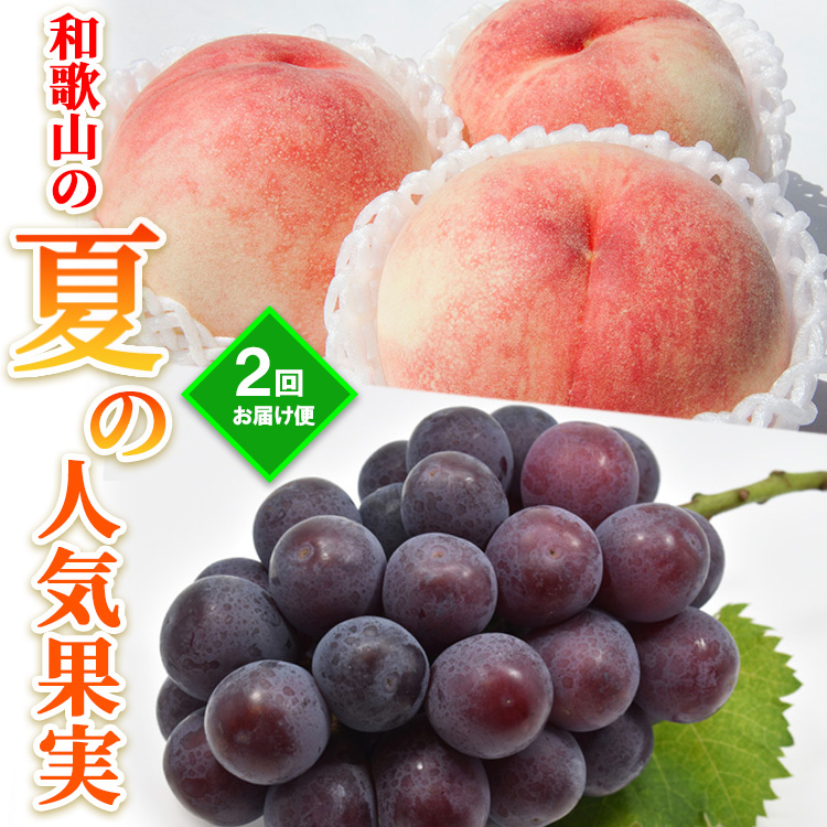 【定期便】和歌山の夏の人気果実2回お届け便
※着日指定