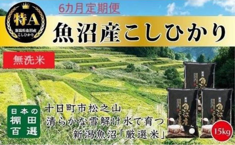 【令和8年産 先行予約】無洗米「6カ月定期便」日本棚田百選のお米 天空の里・魚沼産こしひかり １５ｋｇ(５ｋｇ×３)×６回 白米 安心 安全 こだわり