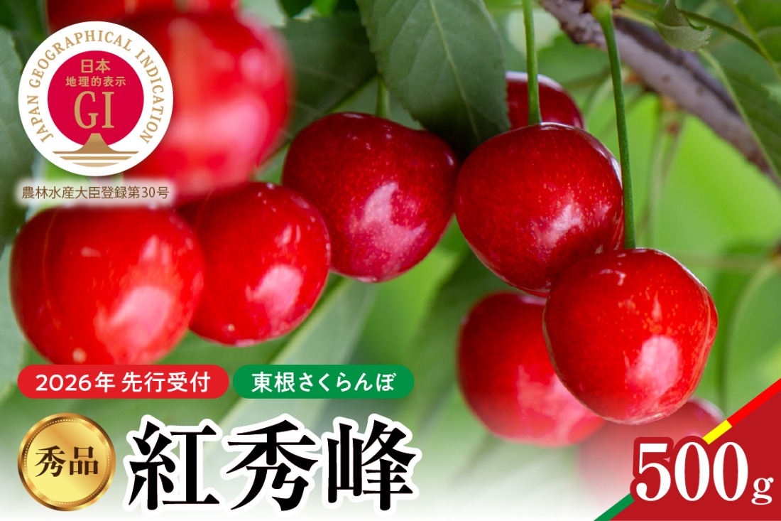 【2026年産　先行予約】紅秀峰 秀品 500g 山形県 東根市　hi062-052