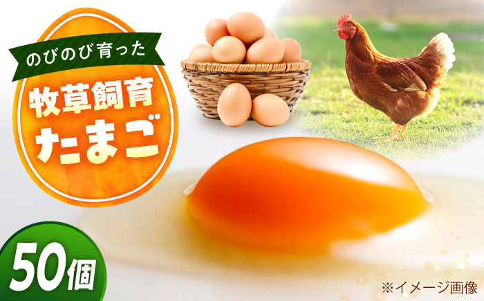 天心山 たまご 50個（10個入り×5パック） 卵 たまご 高級 食品 たまごかけご飯 卵かけご飯 卵焼き 生卵 濃厚 ケーキ お菓子 づくり ランキング 上位 人気 おすすめ 　広島県福山市/天心山