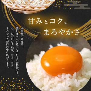 【 定期便 6回 】メディア紹介多数！ おいしいたまご 永光卵 30個 | えいこうらん 光永ファーム 卵 たまご 定期便 定期 6回 君津市産 千葉 君津 きみつ