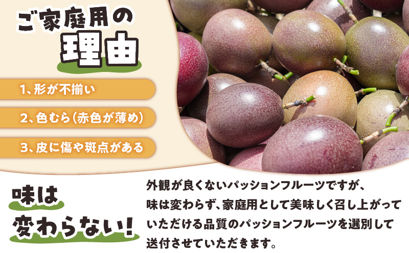【ご家庭用】山下農園のパッションフルーツ 3kg【2025年6月上旬〜7月上旬発送】　W063-002