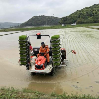 ふるさと納税 南種子町 令和7年産 鹿児島県産 にじのきらめき(精米) 5kg |  | 01