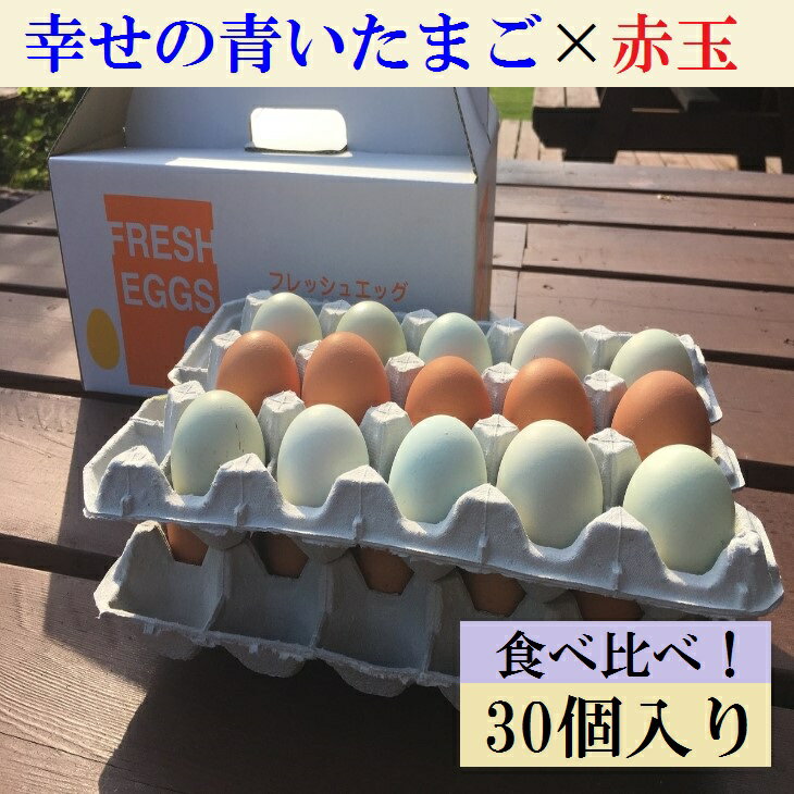【ふるさと納税】江原ファーム ふるさと納税 たまご 地養卵＆アローカナハーフセット 計30個 割れ補償 タマゴ 生みたて 新鮮 産地直送 農家直送 濃厚 青い卵 赤卵 玉子 ゆで卵 定番 おいしい 詰め合わせ ギフト 贈答 贈り物 プレゼント お祝 ご褒美 記念日 貴重 珍しい_AG07
