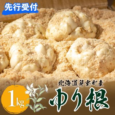 ふるさと納税 芽室町 【先行受付 2026年12月中旬より発送】北海道十勝芽室町 ゆりね 1kg(Lサイズ9玉入り1kg)