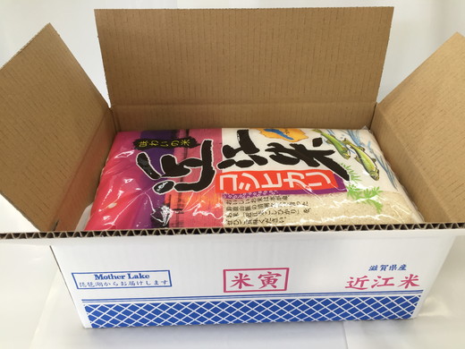 【新米】【7年産】近江米こしひかり【10kg（5kg×2袋）】【T02